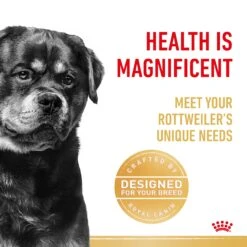 Royal Canin Rottweiler Breed Adult Dog Dry Food -KONG Shop RC BHN DRY RottweilerAD 3971 Page 3 1