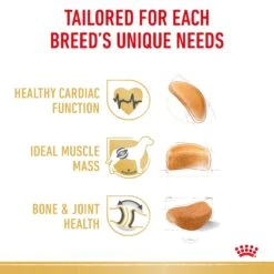 Royal Canin Rottweiler Breed Adult Dog Dry Food -KONG Shop RC BHN DRY RottweilerAD 3971 Page 4 1