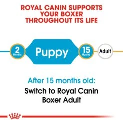 Royal Canin Boxer Breed Puppy Dry Dog Food -KONG Shop RC BHN PuppyBoxer CV EretailKit 1