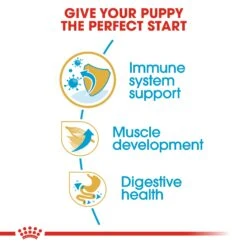 Royal Canin Boxer Breed Puppy Dry Dog Food -KONG Shop RC BHN PuppyBoxer CV EretailKit 3
