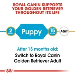 Royal Canin Golden Retriever Breed Puppy Dry Dog Food -KONG Shop RC BHN PuppyGoldenRetriever CV EretailKit 1