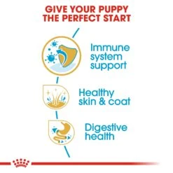 Royal Canin Golden Retriever Breed Puppy Dry Dog Food -KONG Shop RC BHN PuppyGoldenRetriever CV EretailKit 3