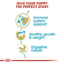 Royal Canin Labrador Retriever Breed Puppy Dry Dog Food -KONG Shop RC BHN PuppyLabradorRetriever CV EretailKit 3