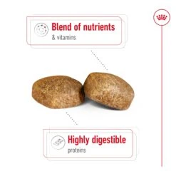 Royal Canin Giant Adult Dog Dry Food -KONG Shop RC SHN DRY GiantAD 3009 Page 04