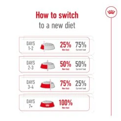 Royal Canin Giant Adult Dog Dry Food -KONG Shop RC SHN DRY GiantAD 3009 Page 09