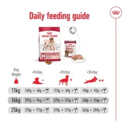 Royal Canin Medium Breed Adult Dog Dry Food -KONG Shop ROYA 3182550402217 14