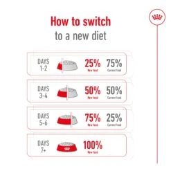 Royal Canin Medium Breed Adult Dog Dry Food -KONG Shop ROYA 3182550402217 19