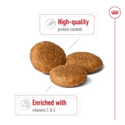 Royal Canin Medium Breed Adult Dog Dry Food -KONG Shop ROYA 3182550402217 9
