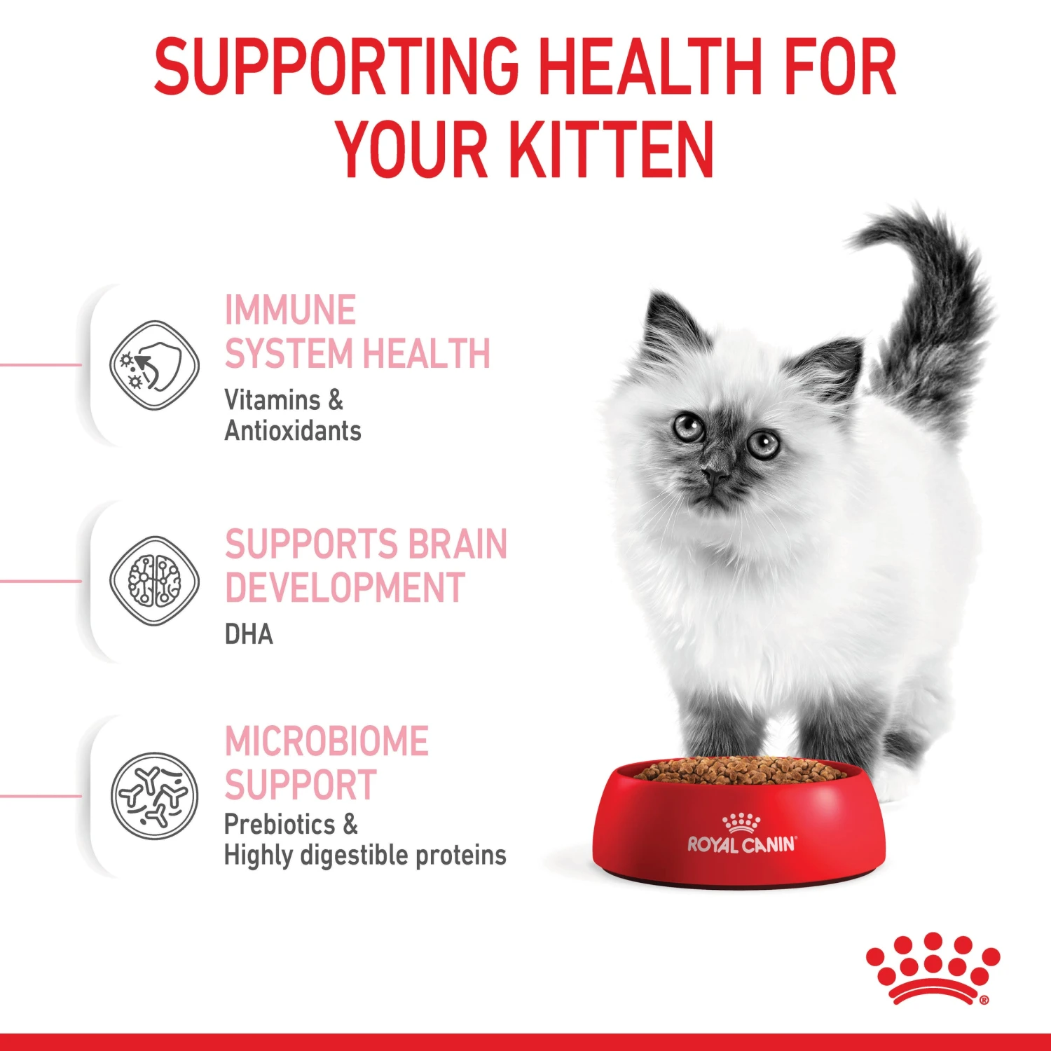 Royal Canin Kitten Dry Cat Food 6 Royal Canin Kitten Dry Cat Food - Image 4