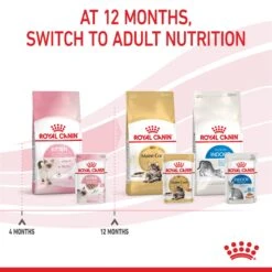 Royal Canin Kitten Dry Cat Food 25 Royal Canin Kitten Dry Cat Food -KONG Shop ROYA 3182550702423 13