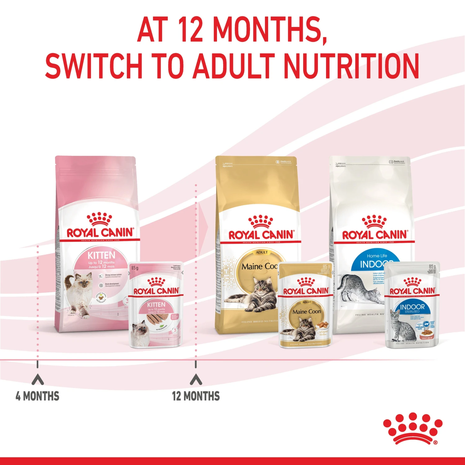 Royal Canin Kitten Dry Cat Food 14 Royal Canin Kitten Dry Cat Food - Image 12