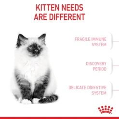 Royal Canin Kitten Dry Cat Food 23 Royal Canin Kitten Dry Cat Food -KONG Shop ROYA 3182550702423 8