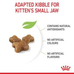 Royal Canin Kitten Dry Cat Food 24 Royal Canin Kitten Dry Cat Food -KONG Shop ROYA 3182550702423 9