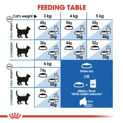 Royal Canin Indoor Adult Cat Dry Food -KONG Shop ROYA 3182550706940 12