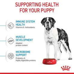 Royal Canin Giant Junior Dog Dry Food -KONG Shop ROYA 3182550707077PROD2 10
