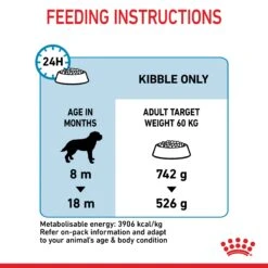 Royal Canin Giant Junior Dog Dry Food -KONG Shop ROYA 3182550707077PROD2 12