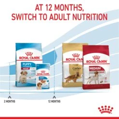 Royal Canin Medium Puppy Dry Food -KONG Shop ROYA 3182550708180PROD2 11