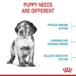 Royal Canin Medium Puppy Dry Food -KONG Shop ROYA 3182550708180PROD2 8