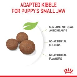 Royal Canin Medium Puppy Dry Food -KONG Shop ROYA 3182550708180PROD2 9