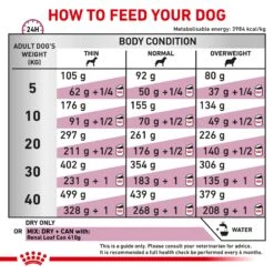 Royal Canin Veterinary Renal Dry Dog Food -KONG Shop ROYA 3182550710992 10
