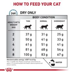 Royal Canin Veterinary Hypoallergenic Cat Dry Food 16 Royal Canin Veterinary Hypoallergenic Cat Dry Food -KONG Shop ROYA 3182550711111 12