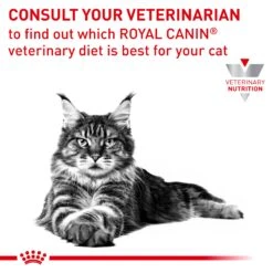 Royal Canin Veterinary Hypoallergenic Cat Dry Food 18 Royal Canin Veterinary Hypoallergenic Cat Dry Food -KONG Shop ROYA 3182550711111 14