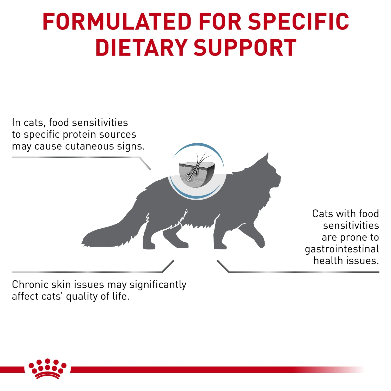 Royal Canin Veterinary Hypoallergenic Cat Dry Food 5 Royal Canin Veterinary Hypoallergenic Cat Dry Food - Image 3
