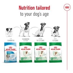 Royal Canin Mini Adult Dog Dry Food -KONG Shop ROYA 3182550716888 11