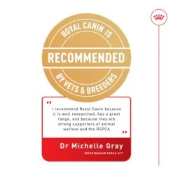 Royal Canin Mini Adult Dog Dry Food -KONG Shop ROYA 3182550716888 16