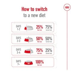 Royal Canin Mini Adult Dog Dry Food -KONG Shop ROYA 3182550716888 19