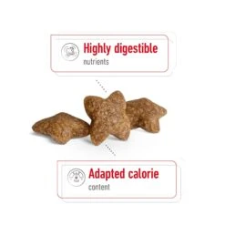 Royal Canin Mini Adult Dog Dry Food -KONG Shop ROYA 3182550716888 9