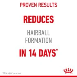 Royal Canin Hairball Care Adult Cat Dry Food -KONG Shop ROYA 3182550721417 12