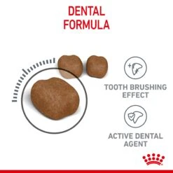 Royal Canin Dental Care Adult Cat Dry Food -KONG Shop ROYA 3182550721622 10