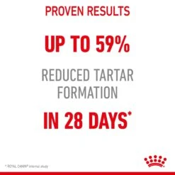 Royal Canin Dental Care Adult Cat Dry Food -KONG Shop ROYA 3182550721622 11