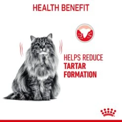 Royal Canin Dental Care Adult Cat Dry Food -KONG Shop ROYA 3182550721622 9