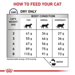 Royal Canin Expert Dental Dry Cat Food -KONG Shop ROYA 3182550722308NZ2 11