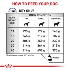Royal Canin Expert Dental Medium & Large Breed Adult Dog Dry Food -KONG Shop ROYA 3182550723664NZ2 11 1