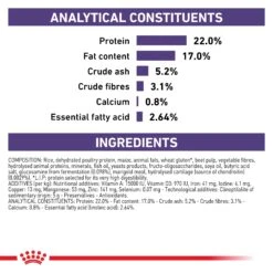 Royal Canin Expert Dental Medium & Large Breed Adult Dog Dry Food -KONG Shop ROYA 3182550723664NZ2 12 1