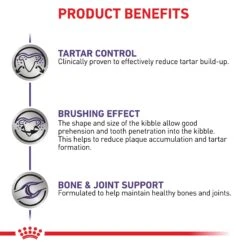 Royal Canin Expert Dental Medium & Large Breed Adult Dog Dry Food -KONG Shop ROYA 3182550723664NZ2 9 1