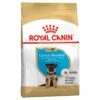 Royal Canin German Shepherd Breed Puppy Dry Food -KONG Shop ROYA 3182550724159 1