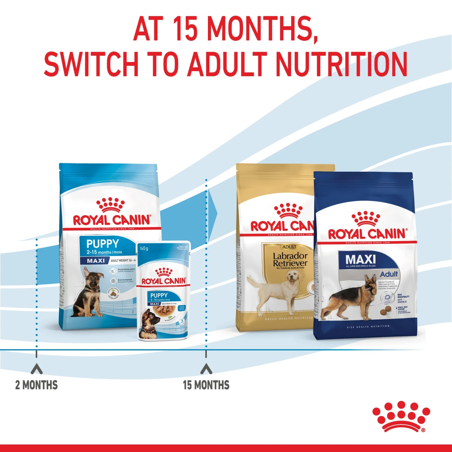 Royal Canin Maxi Puppy Dry Food 13 Royal Canin Maxi Puppy Dry Food - Image 11