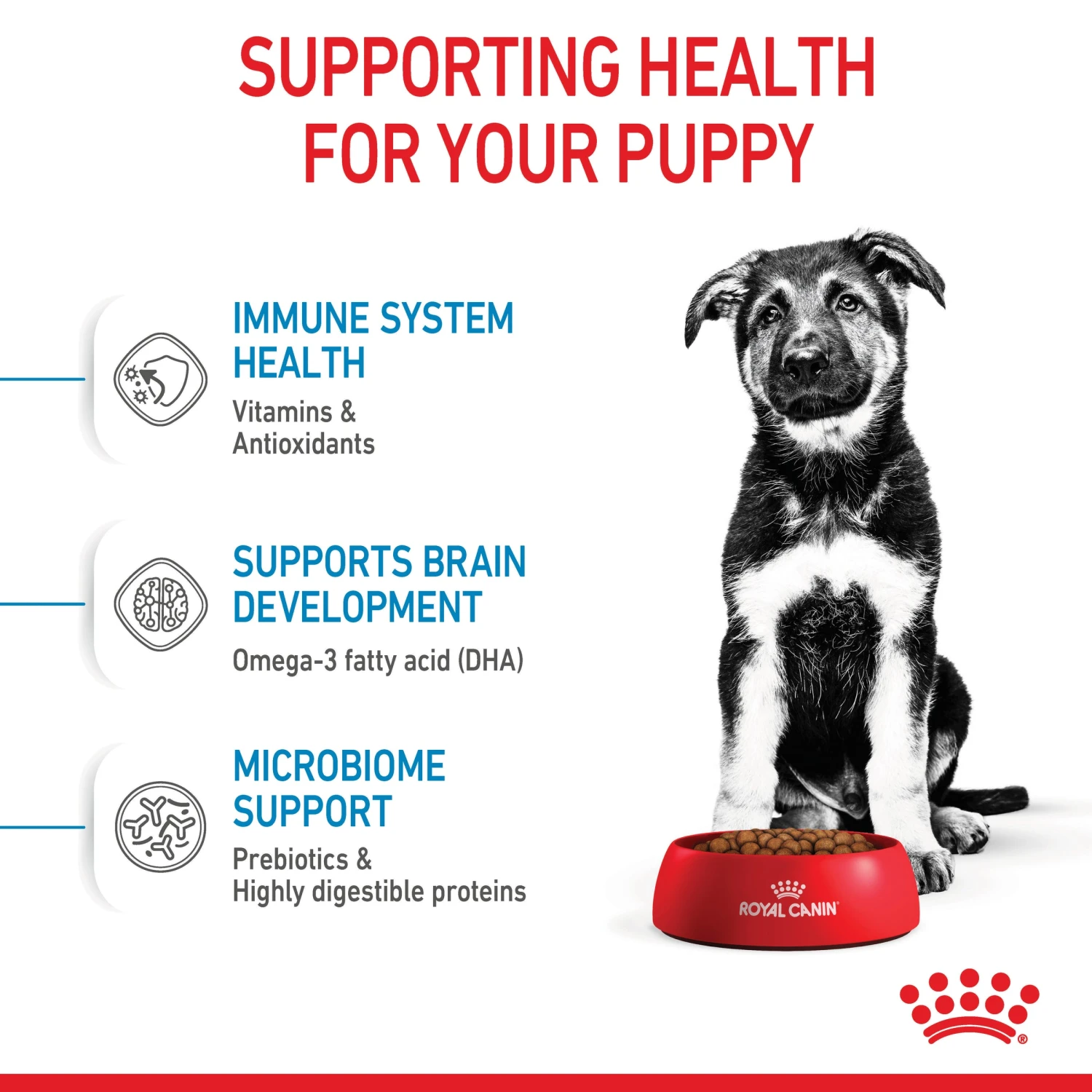 Royal Canin Maxi Puppy Dry Food 5 Royal Canin Maxi Puppy Dry Food - Image 3