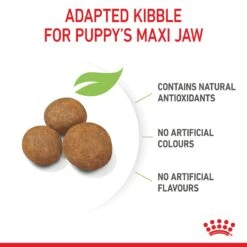 Royal Canin Maxi Puppy Dry Food 22 Royal Canin Maxi Puppy Dry Food -KONG Shop ROYA 3182550732055NZ 9