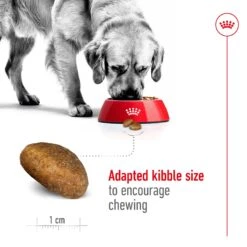 Royal Canin Maxi Adult Dog Dry Food 19 Royal Canin Maxi Adult Dog Dry Food -KONG Shop ROYA 3182550732154NZ 10