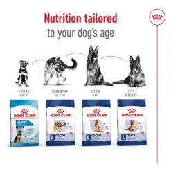 Royal Canin Maxi Adult Dog Dry Food 20 Royal Canin Maxi Adult Dog Dry Food -KONG Shop ROYA 3182550732154NZ 11