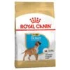 Royal Canin Boxer Breed Puppy Dry Dog Food 2 Royal Canin Boxer Breed Puppy Dry Dog Food -KONG Shop ROYA 3182550743945 1