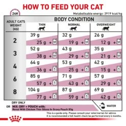 Royal Canin Veterinary Renal Special Adult Dry Cat Food -KONG Shop ROYA 3182550748155 10