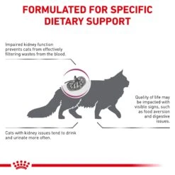 Royal Canin Veterinary Renal Special Adult Dry Cat Food -KONG Shop ROYA 3182550748155 7