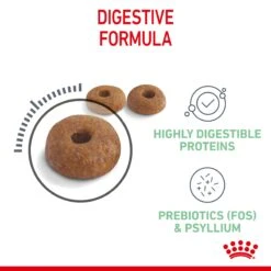 Royal Canin Digestive Care Adult Cat Dry Food -KONG Shop ROYA 3182550752008 10