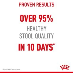Royal Canin Digestive Care Adult Cat Dry Food -KONG Shop ROYA 3182550752008 11
